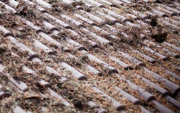 Chidgley roof cleaning companies