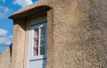 Chidgley thatch roof disadvantages
